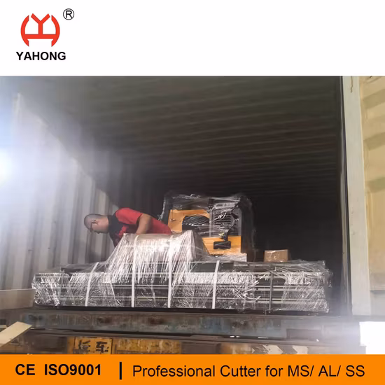 Cortador de máquinas de corte por plasma CNC de pórtico de servicio pesado con dos cabezales para plasma y llama